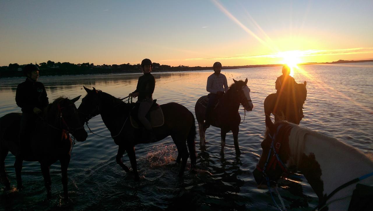 Manoir De La Rogerais & Spa Beaussais Sur Mer エクステリア 写真